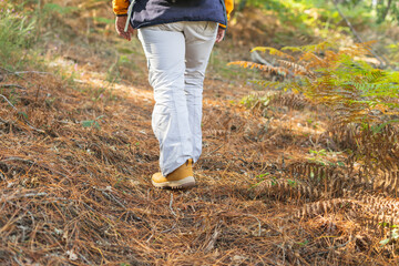 hiking travel lifestyle adventure concept, climbing pine log on the ground.