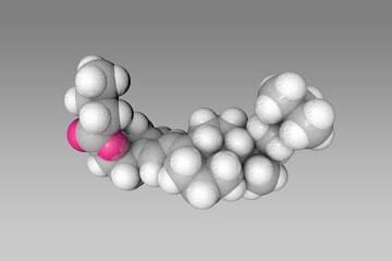 Space-filling molecular model of vitamin D3 butyrate. Atoms are shown as spheres with conventional color coding: carbon (gray), oxygen (red), hydrogen (white). Scientific background. 3d illustration