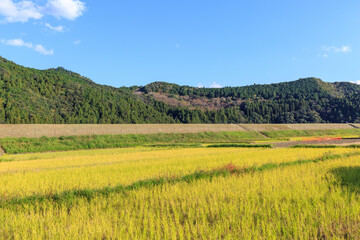 大斎原の近くの風景