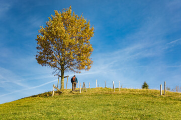 Wanderung am Berg mit Wanderer