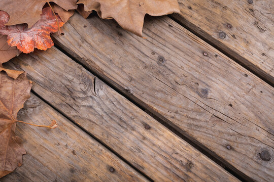 Composition of fall autumn dry leaves with copy space on rustic wooden surface