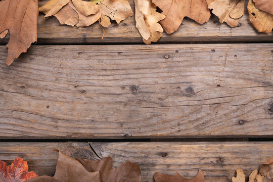 Composition of fall autumn dry leaves with copy space on rustic wooden surface