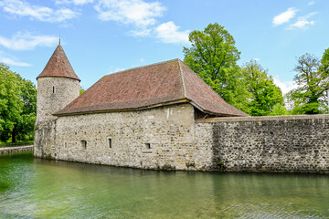 Seengen, Schloss Hallwyl, Wasserschloss, Burg, Hallwilersee, See, Spazierweg, Insel, Aabach, Aargau, Frühling, Sommer, Schweiz