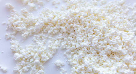 Fresh milk curd as background.