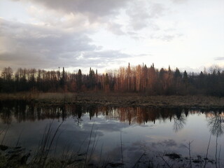 morning on the lake