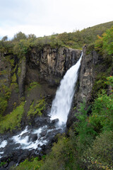 Fototapeta premium waterfall in the forest