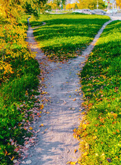 A wide path among the grass, strewn with fallen autumn leaves, is divided into two paths diverging in different directions. Autumn landscape.