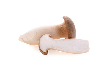 Pleurotus eryngii mushrooms on white background