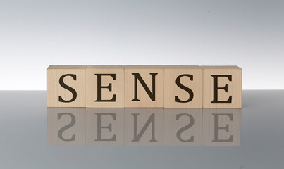 SENSE concept, wooden word block on the grey background