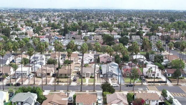 South Central area of Crenshaw community, houses in bad area of Los Angeles, rising aerial over palm trees