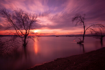 Fototapeta na wymiar flooded trees and beautiful sunset