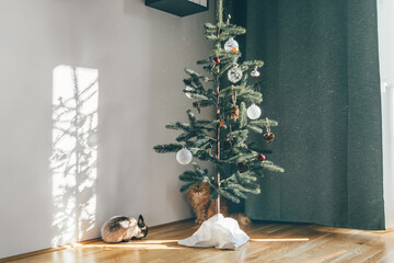 Minimalistic reusable Christmas tree with home pets cat and rabbit in living room. Zero waste...
