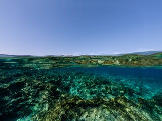 Fototapeta na wymiar Half underwater of the clear azure sea
