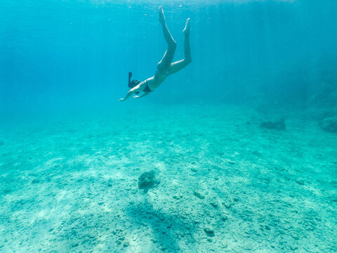 Woman snorkeling with the turtle. Underwater world