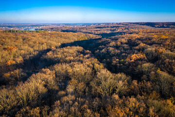 Aerial panorama to autumn deciduous forest with bare trees