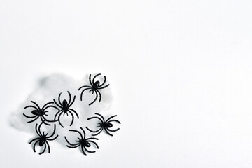 Black spiders on a white background