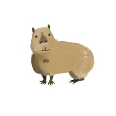 カピバラ　手書き風
