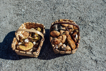 Wicker baskets full of mushrooms