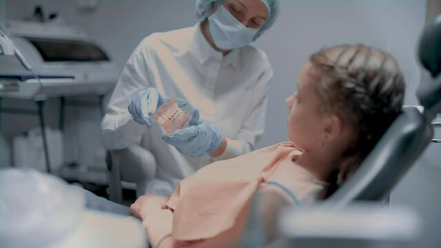 Dentist showing little girl jaw model at dentists office. Child agrees to have braces installed