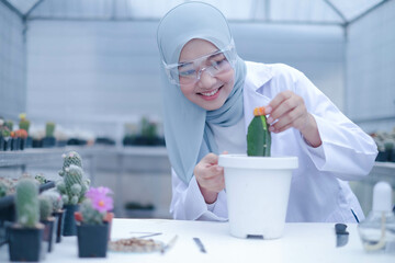 An Asian Scientist muslim woman in a hijab scarf researches cacti in an experimental garden in Brunei