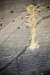 Torn denim dirty jeans texture - obrazy, fototapety, plakaty
