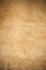 Kangaroo leather closeup background.