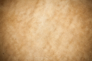 Kangaroo leather closeup background.