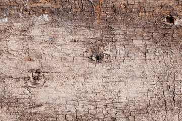Texture old wood background.