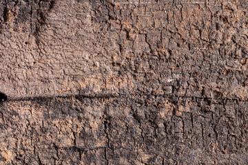 Texture old wood background.