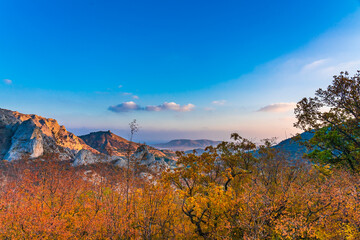 View of the yellow leaves of the autumn forest against the background of mountains and blue sky during sunset