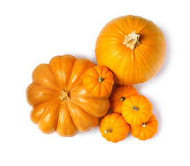 Fresh ripe pumpkins on white background, top view