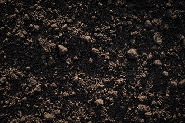 Fertile loam soil suitable for planting, soil texture background.