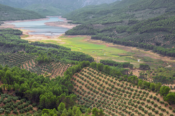 Fototapeta premium Olive groves with the Tranco de Beas reservoir in a distance, seen from a vantage point in Hornos