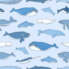Seamless pattern with aquatic animals or marine mammals hand drawn on blue background - whales, narwhal, dolphins, cachalot, beluga. Vector illustration for textile print, wrapping paper, wallpaper.