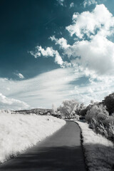 A surreal fairy tale landscape in infrared light shining throu the leafs - Germany - Hattingen