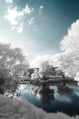 A surreal fairy tale landscape in infrared light shining throu the leafs - Germany - Hattingen