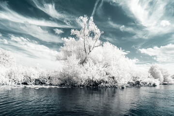 Infrared Photo - a surreal fairy tale landscape on an river in infrared light shining throu the...