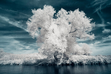 A surreal fairy tale landscape on an river in infrared light shining throu the leafs - Ruhr -...