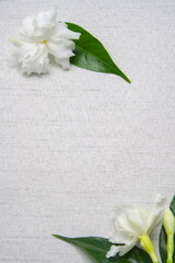 White flowers and green leaves on white tablecloth, top view, copy space