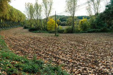 PASEADA POR SAN JULIAN DE VILATORTA(VICH)