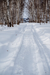 Fototapeta na wymiar Winter road in the forest. Snowmobile footprints