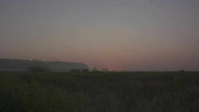 Wsch&oacute;d słońca nad polem, Wschodzące słońce w mglisty wiosenny poranek z lasem w tle i samolotem przelatującym na niebie