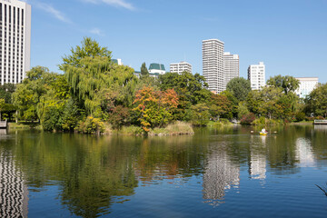 Fototapeta na wymiar 삿포로의 여유로운 연못 풍경