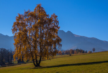 Jesienny widok w Tatrach