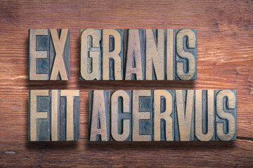 Ex granis wood