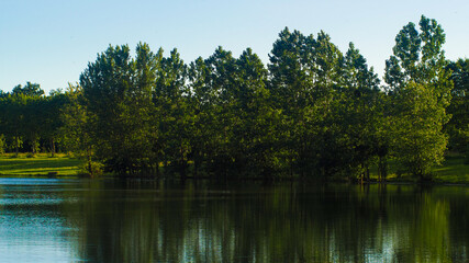 Fototapeta na wymiar Rives d'un étang de pêche aux abords de l'Adour, dans la Chalosse, non loin du village de Toulouzette