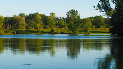 Fototapeta na wymiar Rives d'un étang de pêche aux abords de l'Adour, dans la Chalosse, non loin du village de Toulouzette