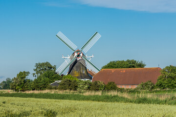 Fototapeta na wymiar Traditionelle Windmühle in Ostfriesland, Seriemer Mühle, Niedersachsen, Deutschland