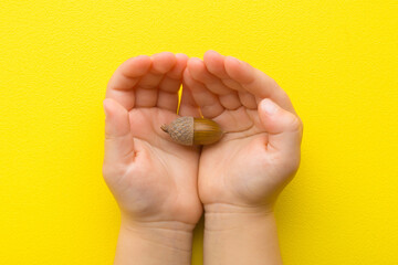 Brown acorn with hat on baby girl opened palms on bright yellow table background. Closeup. Point of view shot. Top down view. © fotoduets