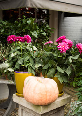 Fototapeta na wymiar flowerpot in front of a house